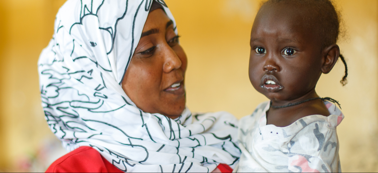 Danish Red Cross Project